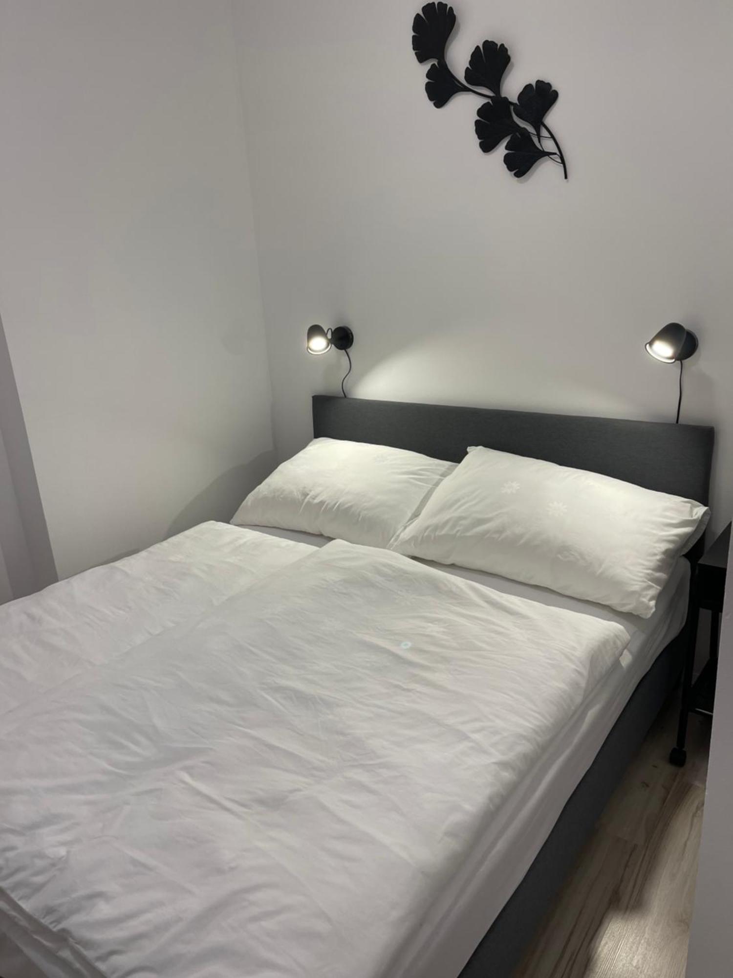 Apartmanovy Dum Jansky Sen Janské Lázně Extérieur photo